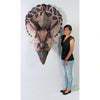 Image of Design Toscano Giant Triceratops Dinosaur Wall Trophy NE110016