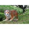 Image of Design Toscano The Grand-Scale Wildlife Animal Collection: Bengal Tiger Statue NE80120