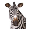 Image of Design Toscano Grand-Scale African Zebra Statue NE110075