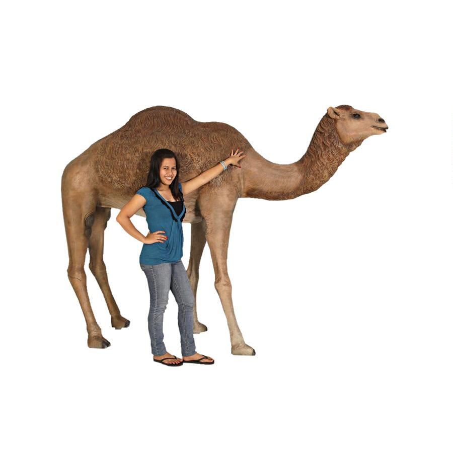 Design Toscano Grand-Scale Desert Camel Statue NE120052
