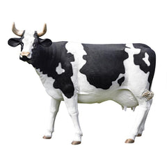 Design Toscano The Grande-Scale Wildlife Animal Collection: Holstein Cow Statue NE80139