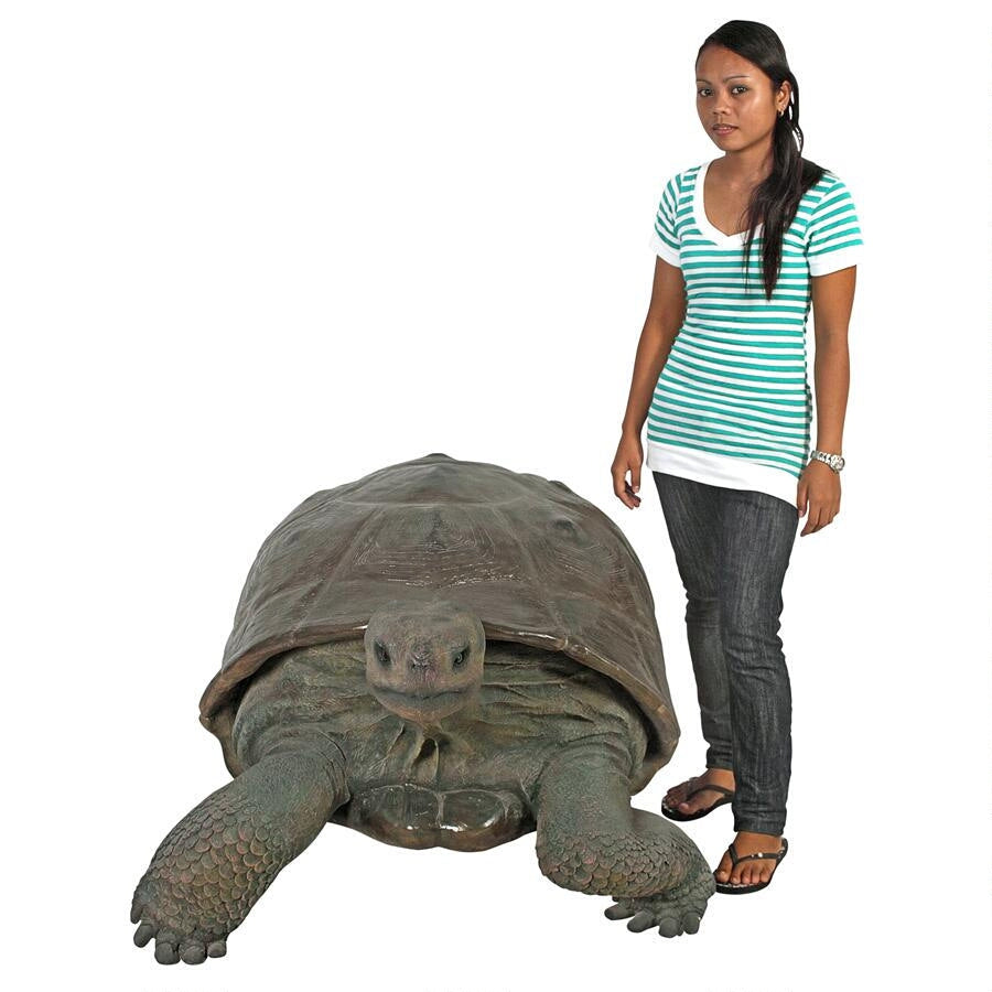 Design Toscano The Grand-Scale Wildlife Animal Collection: The Galapagos Tortoise Statue NE80124