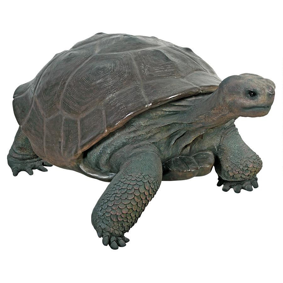 Design Toscano The Grand-Scale Wildlife Animal Collection: The Galapagos Tortoise Statue NE80124