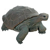 Image of Design Toscano The Grand-Scale Wildlife Animal Collection: The Galapagos Tortoise Statue NE80124