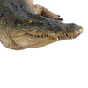 Image of Design Toscano Tropical Wetlands Crocodile Statue NE80123