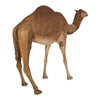 Image of Design Toscano Grand-Scale Desert Camel Statue NE120052