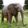 Image of Design Toscano Enormous African Elephant Statue NE100059